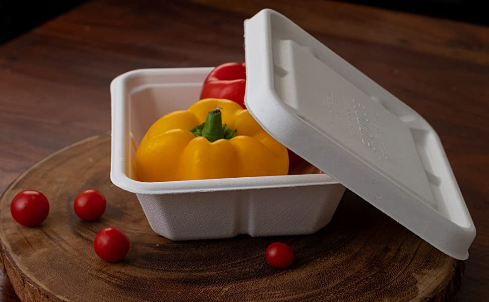Safe & Hygienic Disposable 750 ml Takeaway Box with Lid