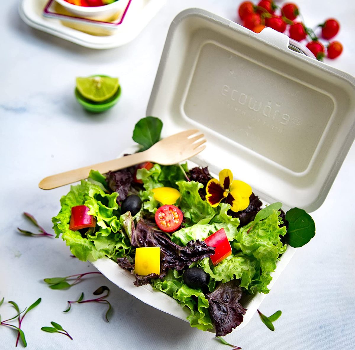 Biodegradable Box for Food