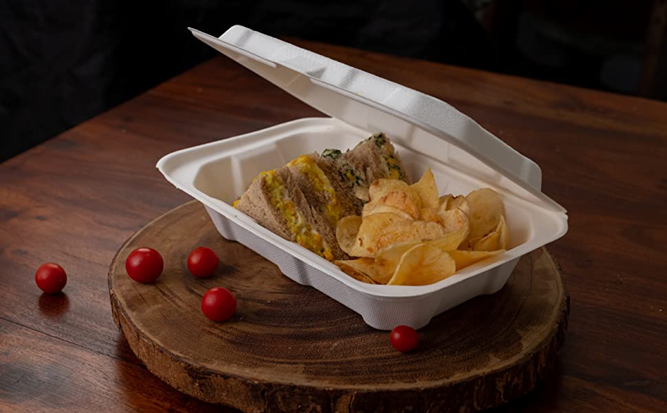 Biodegradable Box for Delicious Food