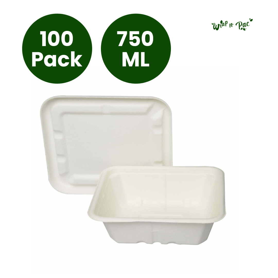 Large 750ml Biodegradable Takeaway Boxes with Lids