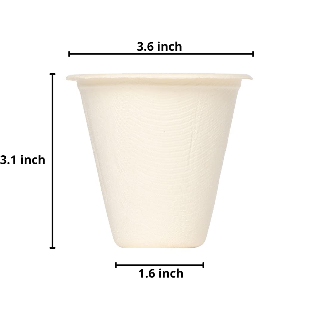 Disposable 220 ml Cups