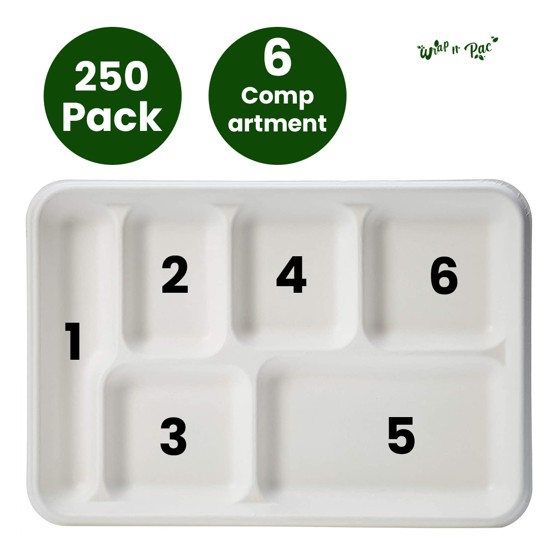 250-Pack 6-Compartment Rectangle Shallow Trays (11'x10' inch): School Meal Trays